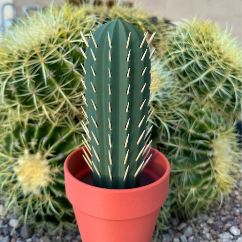 3D Printed Cactus Toothpick Holder