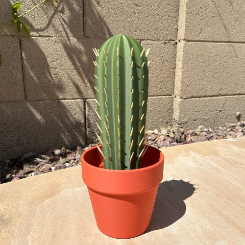 3D Printed Cactus Toothpick Holder