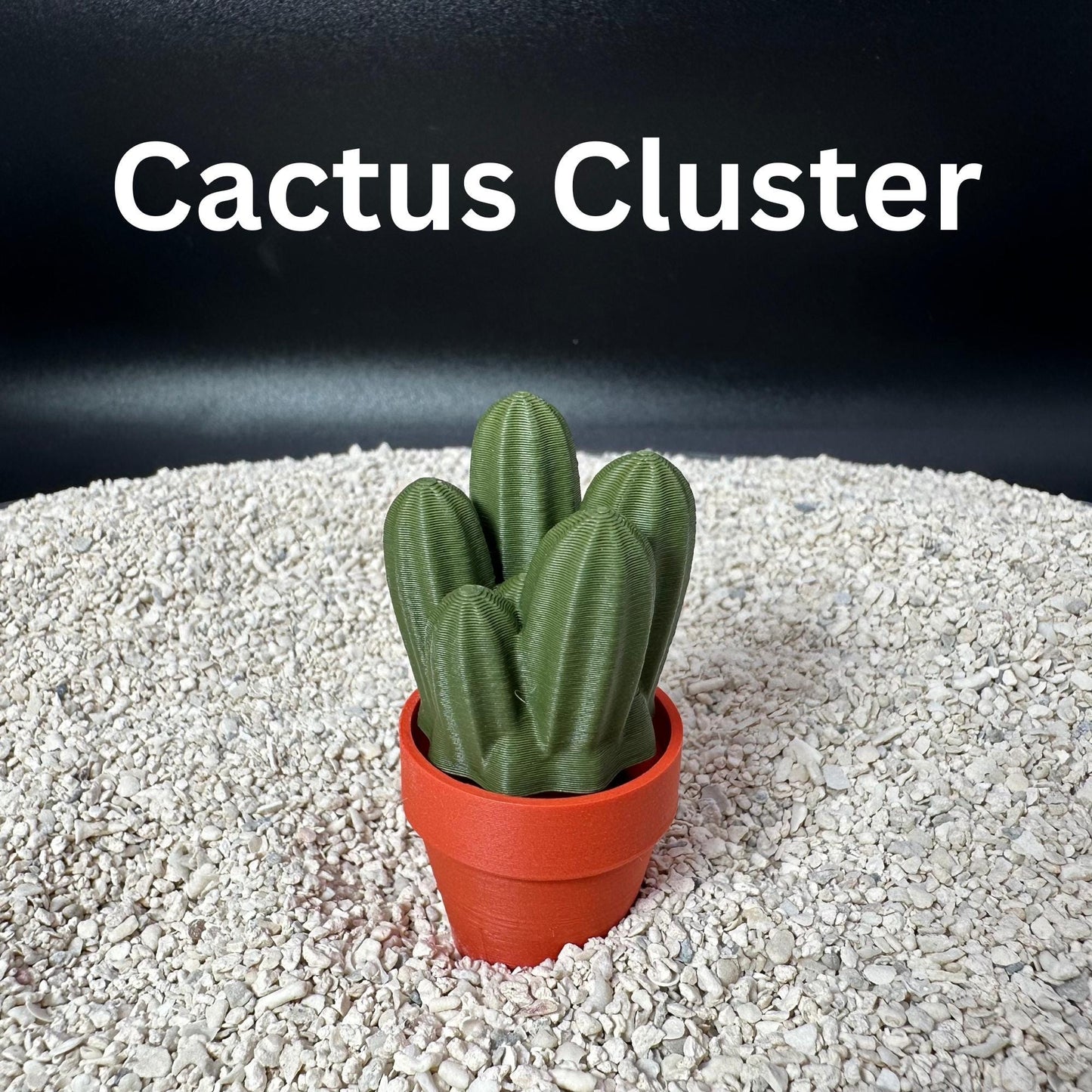 3D Printed Clicky Cacti Fidget