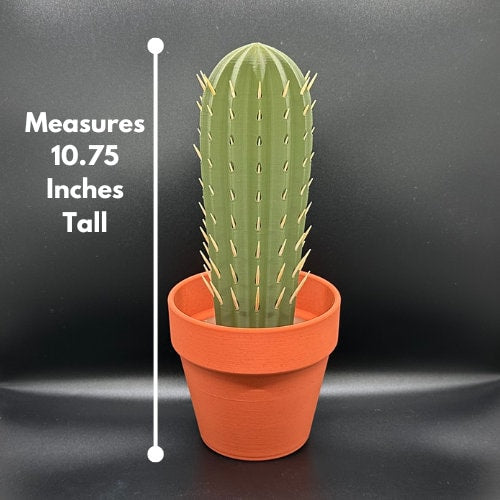 3D Printed Cactus Toothpick Holder