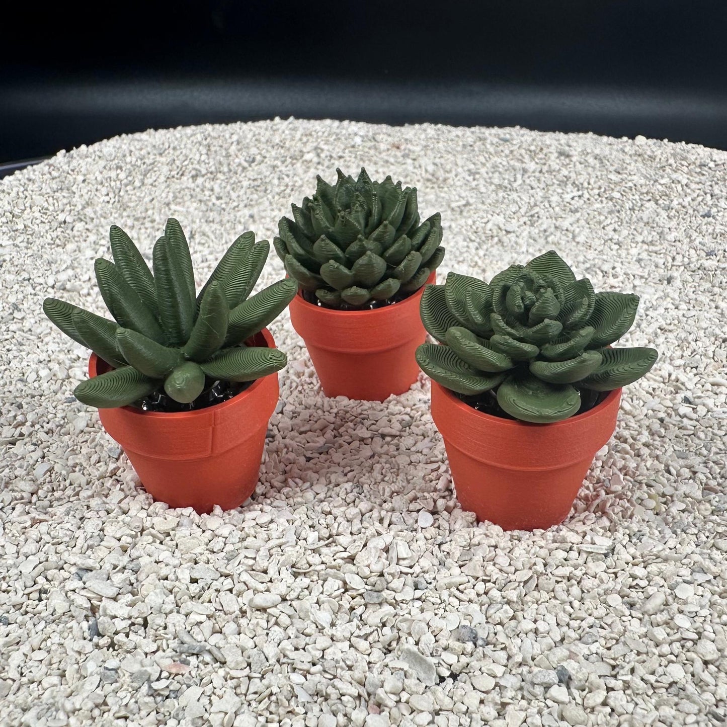 3D Printed Spinning Succulent Fidget