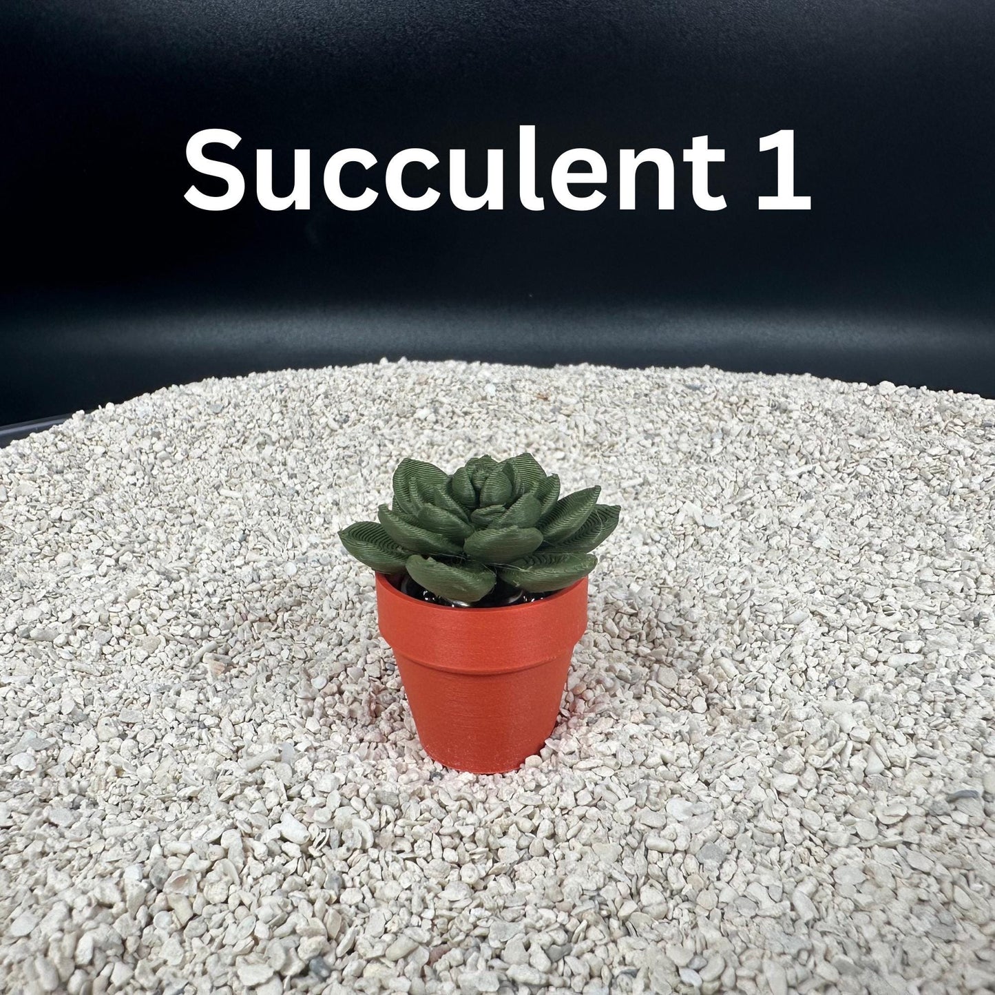 3D Printed Spinning Succulent Fidget